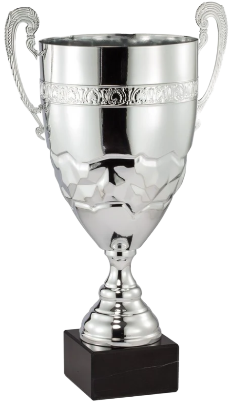 Perfect Game 17" Silver Cup 4C