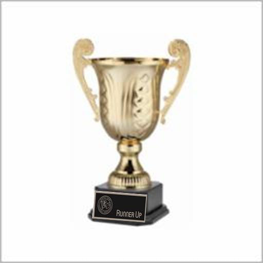 Tier 1: PGBA Gold Finalist 2