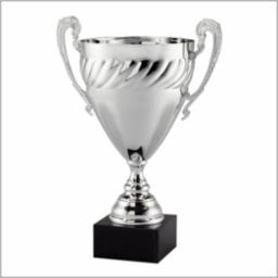 Tier 1: PGBA Silver Finalist 1