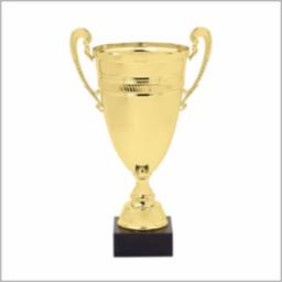 Tier 1: PGBA Gold Finalist 1