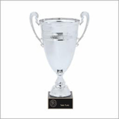 Tier 1: PGBA Silver Semi-Finalist 3